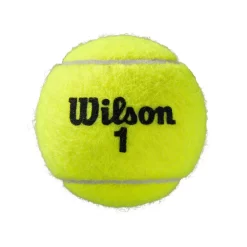 Vraiment la Patagonie. -Vraiment la Patagonie. carton 9 bipack wilson roland garros all court 1