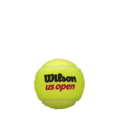 Vraiment la Patagonie. -Vraiment la Patagonie. tube de 4 balles wilson us open 1